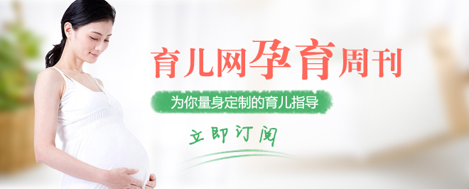 孕育周刊
